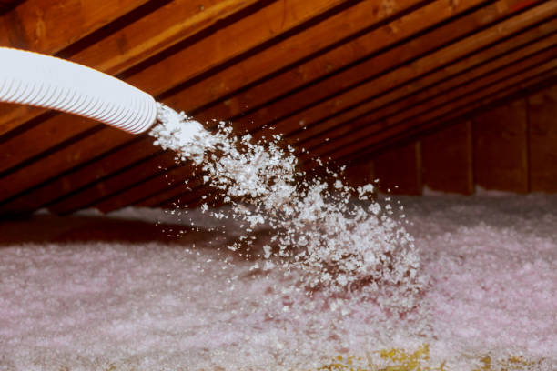 Best Geographic-Specific Insulation Services in Deerfield Beach, FL